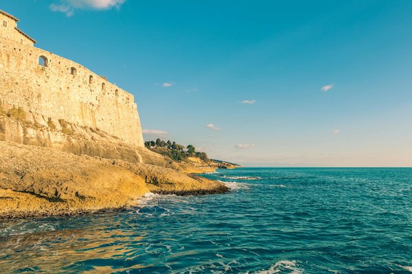 Discover the Best UK National Parks for In-Depth Wildlife Tours and Native Habitat Exploration!